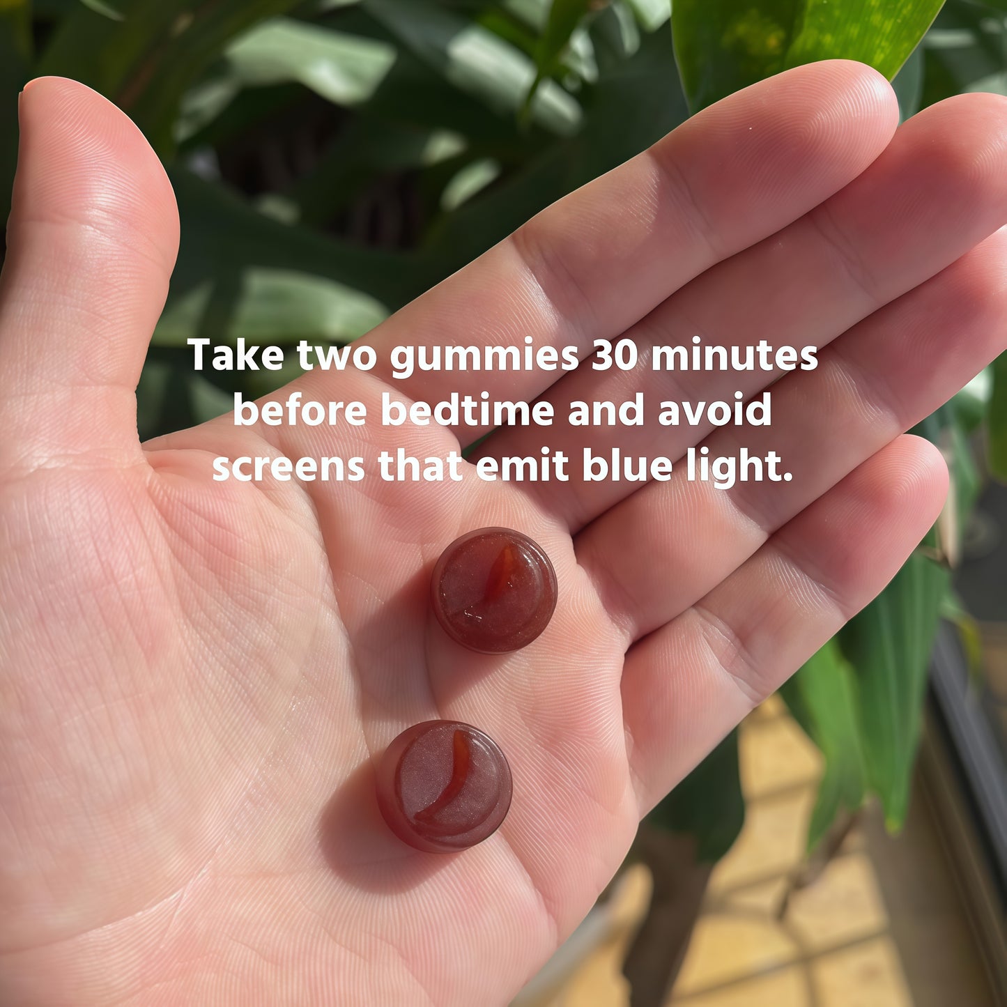 Sleep Gummy