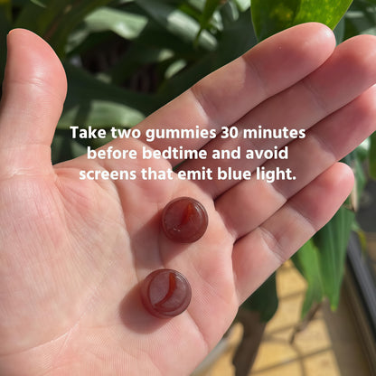 Sleep Gummy